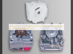 Crisper Pan Appareil électroménager Mold résistant aux UV et emballé dans un boîtier en bois pour les produits